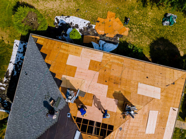 Best Roof Maintenance Services  in Merrionette Park, IL