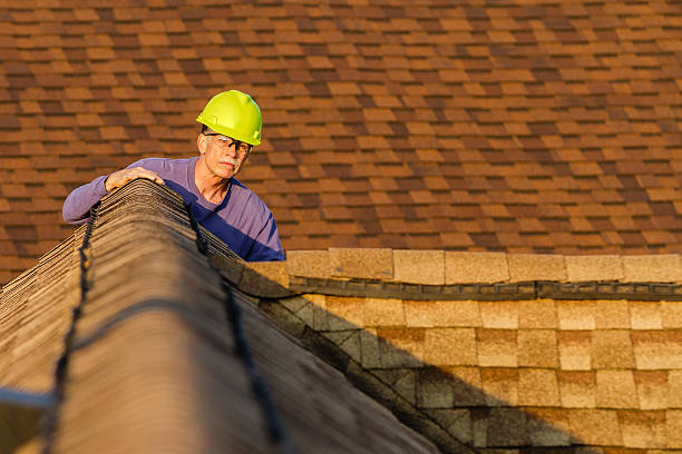 Best Metal Roofing Contractor  in Merrionette Park, IL
